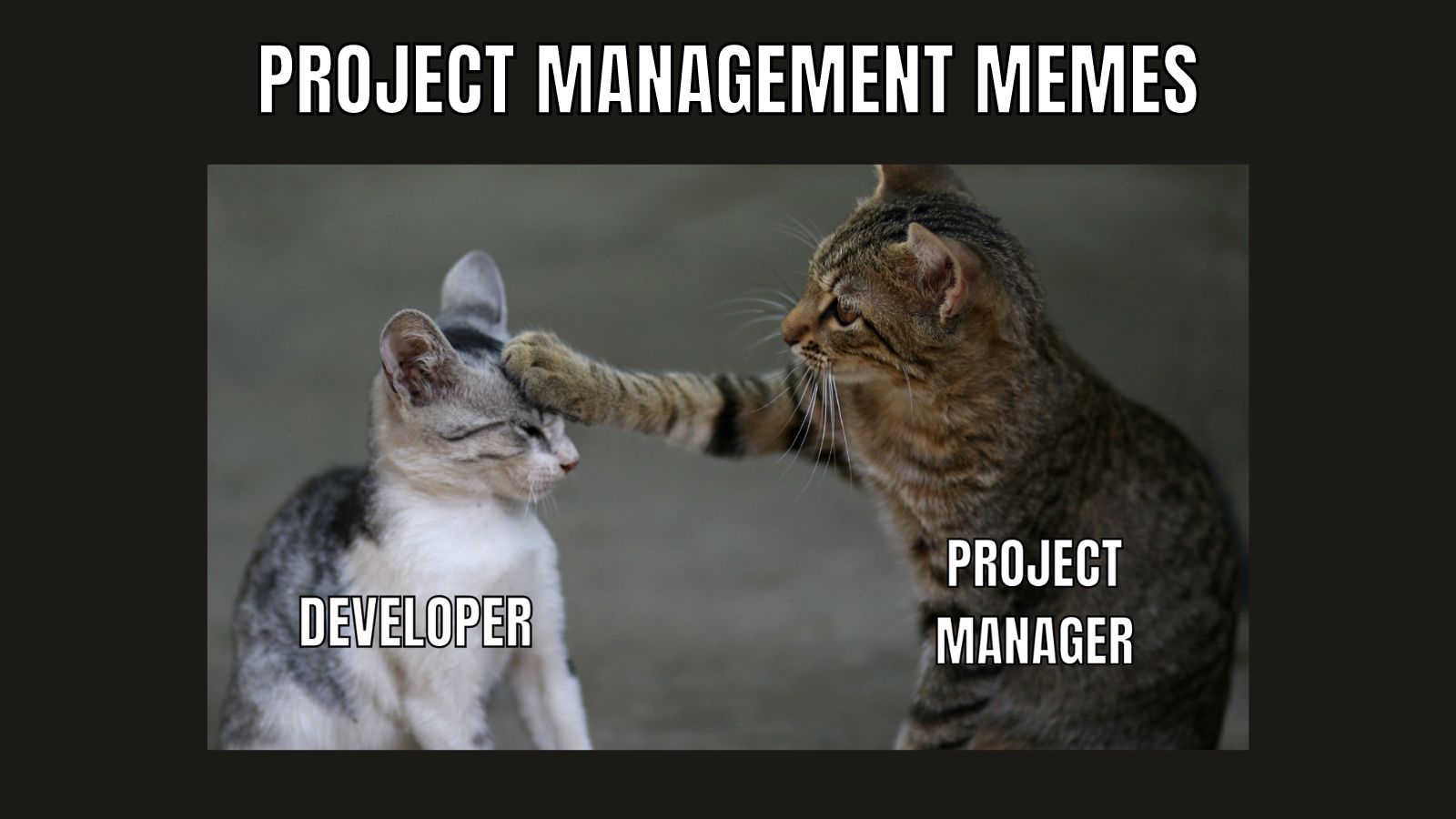 24 Super Funny Project Management Memes for 2024